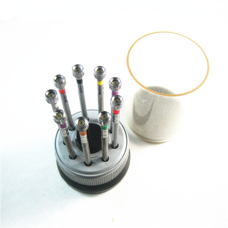 Stainless Steel Precision Scre - Luxury Watch Cleaning Kit recensie en prijs